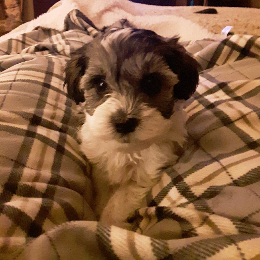 Meet your Posher, Angie